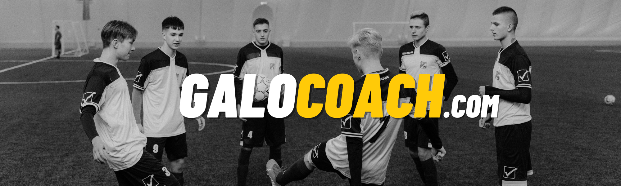 cabecera galocoach